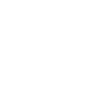 Logo Perplex GmbH in weiß