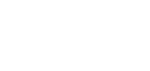 Perplex Logo weiß